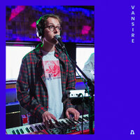 Eleven Weeks - Vansire