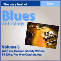 What's Getting Wrong With You - John Lee "Sonny Boy" Williamson