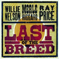 If I Ever Get Lucky - Merle Haggard