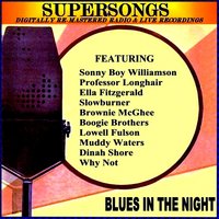 Travellin' Blues - T-Bone Walker