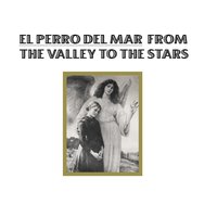 Into The Sunshine - El Perro Del Mar
