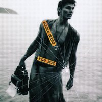 Wild Seed - Morten Harket