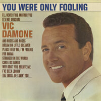 Stranger in the World - Vic Damone