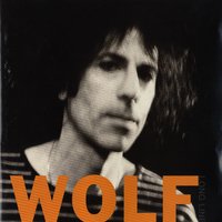 Break This Chain - Peter Wolf