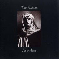 Early Years - The Auteurs