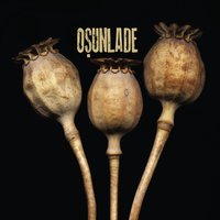 What Gets You High? - Osunlade