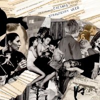 Fools Parade - Caesars
