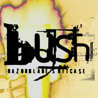 Bonedriven - Bush