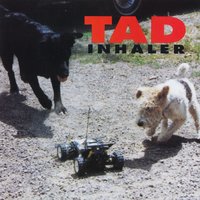 Leafy Incline - Tad