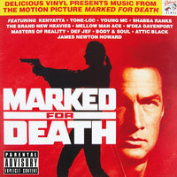 Pick Up The Pace - Young MC