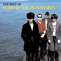 Do It Clean - Echo & the Bunnymen