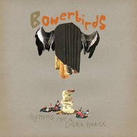 Bur Oak - Bowerbirds