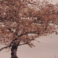 Settling - Spokane