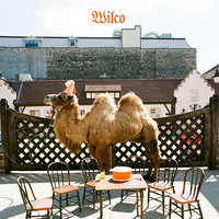 Sonny Feeling - Wilco