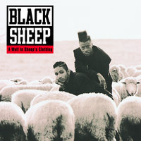 Have U.N.E. Pull - Black Sheep