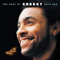 Get Up Stand Up - Shaggy