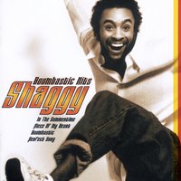 Midnite Lover - Shaggy