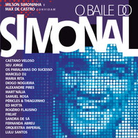 Balanço Zona Sul - Sandra de Sá