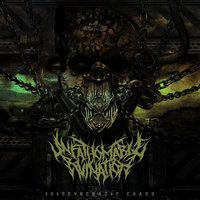 Idiosyncratic Chaos - Unfathomable Ruination
