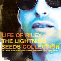 Fools - The Lightning Seeds