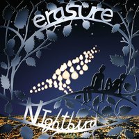I Broke It All In Two - Erasure