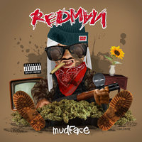 N***a Like Me - Redman