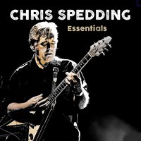 Lonely Avenue - Chris Spedding