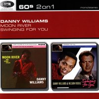 The Story Of A Starry Night - Danny Williams