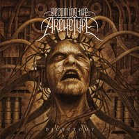 Ransom - Becoming The Archetype