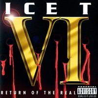 (Haters) - Ice T
