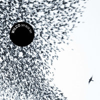 Impossible Germany - Wilco