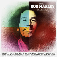 Redemption Song - L.E.J
