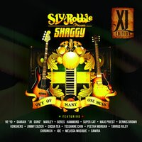 Night Flight - Shaggy, Maxi Priest, Super Cat