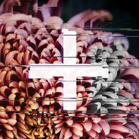 So What If It Is - The Foreign Exchange