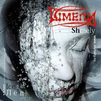 Иди - Шмели