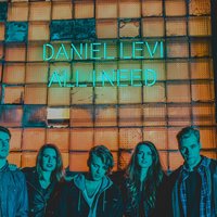 All I Need - Daniel Levi