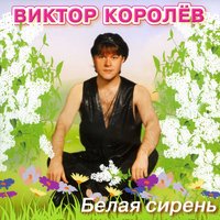 Дочка прокурора - Виктор Королёв