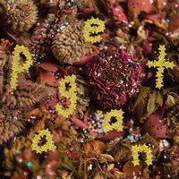 Pwr Bttm