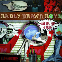 All Possibilities - Badly Drawn Boy