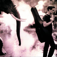 Before The Night Is Over - Bryan Adams