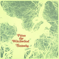 Thirty Days - Strawbs