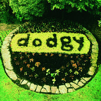 Lovebirds - Dodgy