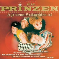 Maria durch ein' Dornwald ging - Die Prinzen