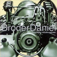 Disease Inside - Broder Daniel
