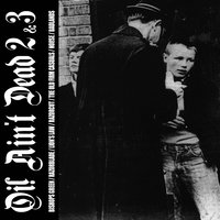 Hanging on the Corner - Lion's Law