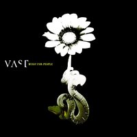 My TV and You - VAST