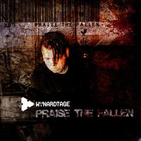 Hurricane Age - Wynardtage