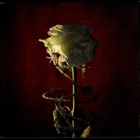 Ecowar - Heaven Shall Burn