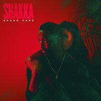 Sugar Cane - Shakka