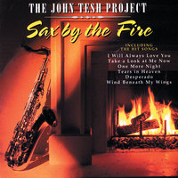 Fields Of Gold - John Tesh